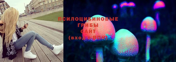 PSILOCYBIN Володарск