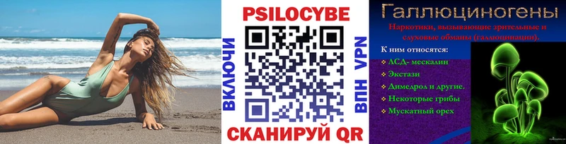 где найти наркотики  Назарово  Псилоцибиновые грибы ЛСД 